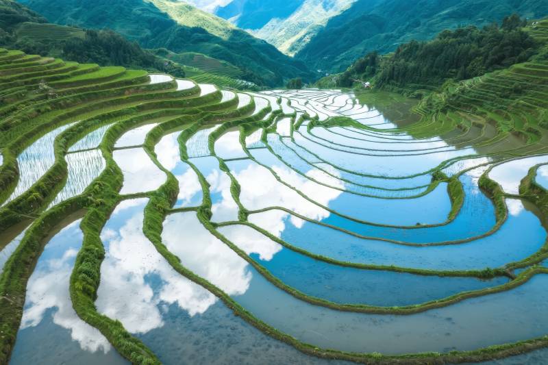 梯田映天光图片