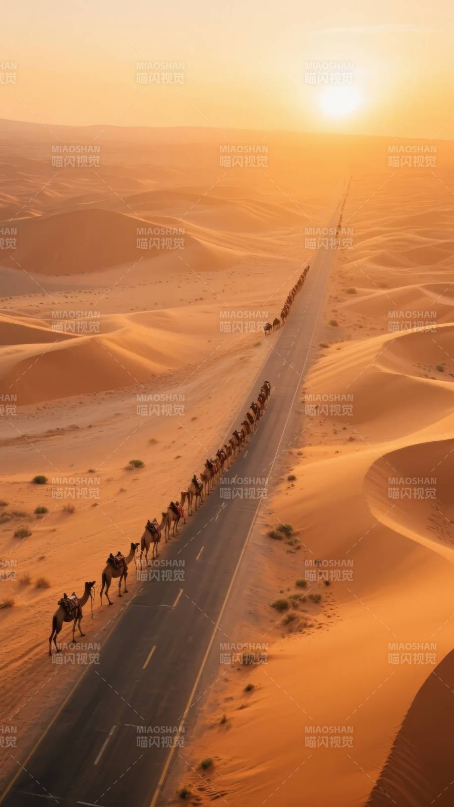 沙漠驼队日落行图片