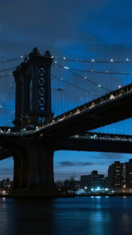 夜幕下的大桥图片