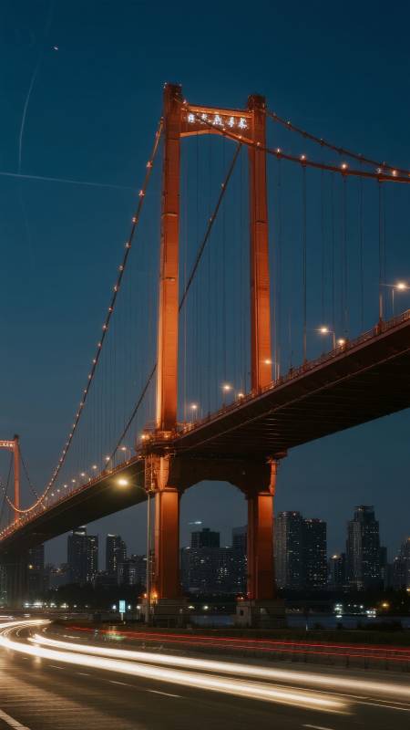 夜幕下的大桥图片