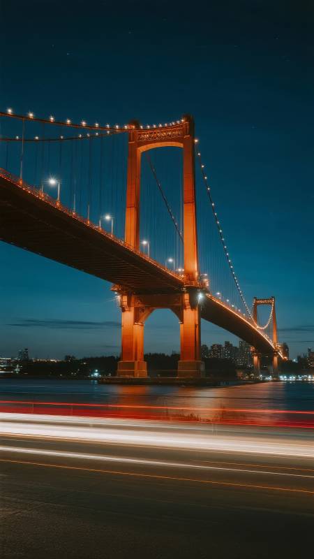 夜幕下的大桥灯火辉煌图片