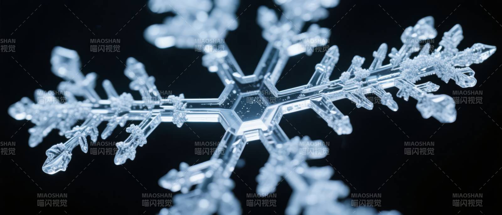晶莹雪花特写图片