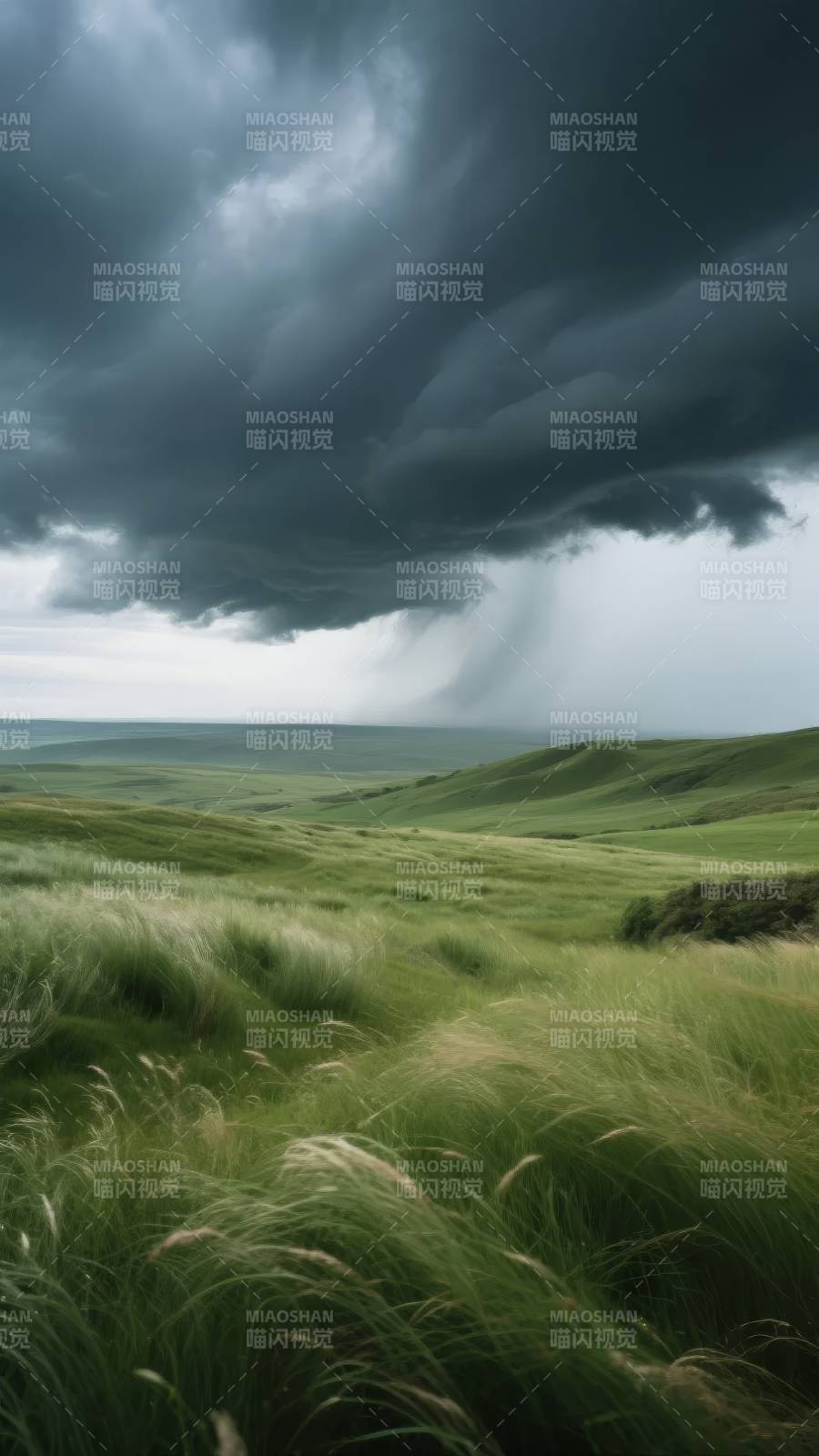 风暴将至 草原静谧图片