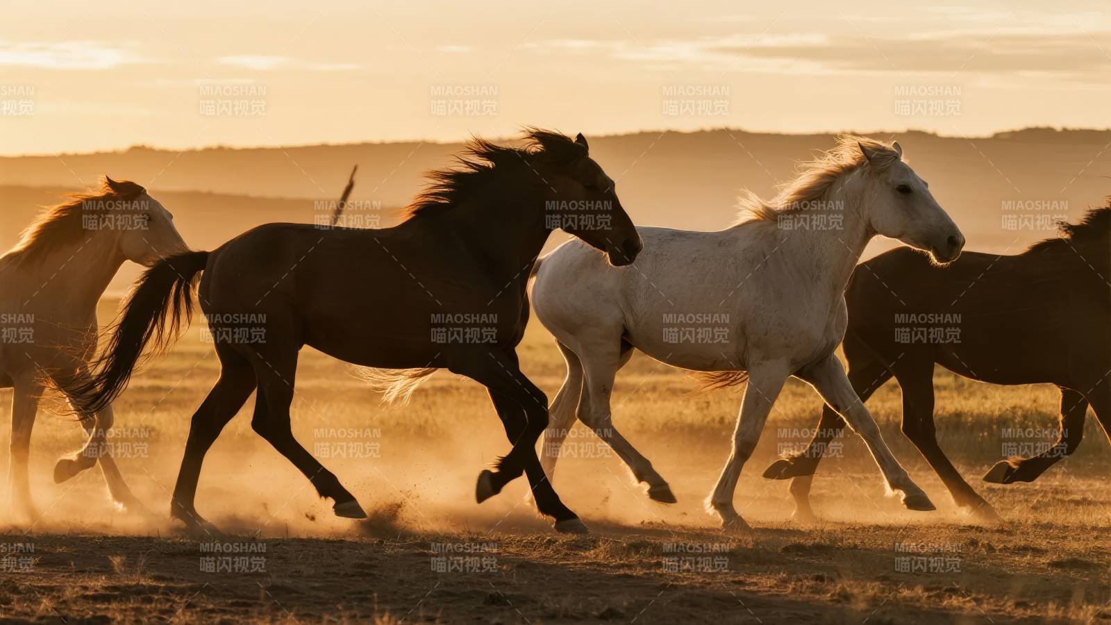 骏马奔腾草原图片