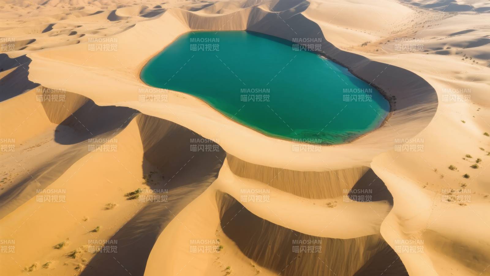 沙漠绿洲奇景图片