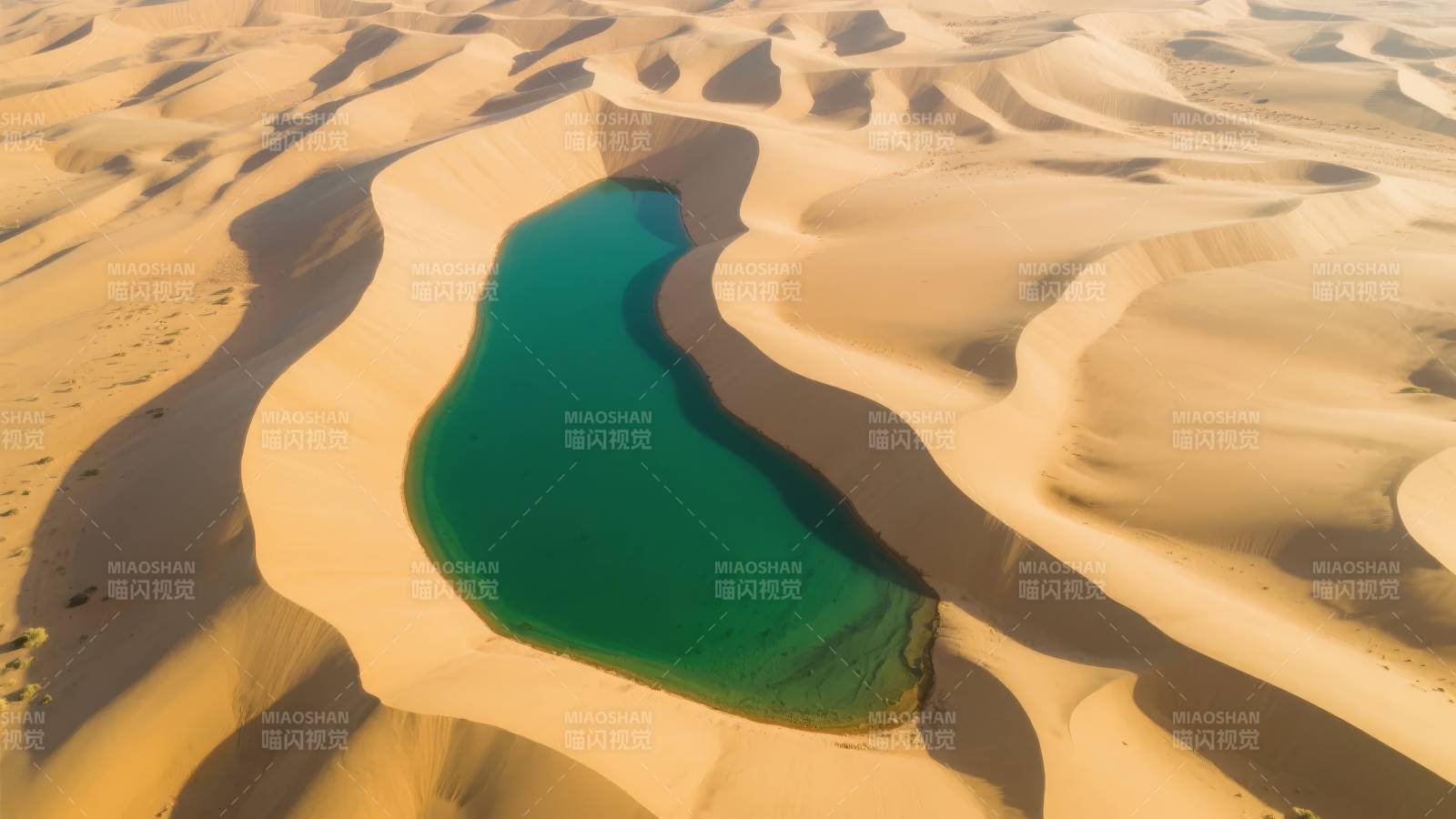 沙漠绿洲奇景图片