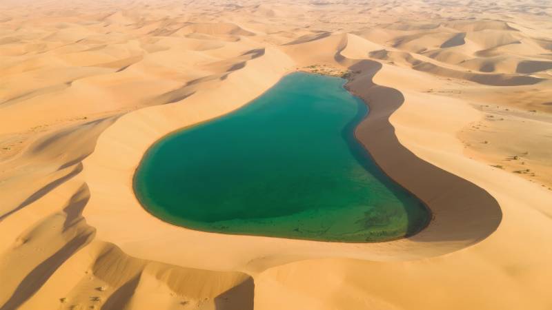 沙漠绿洲奇景图片