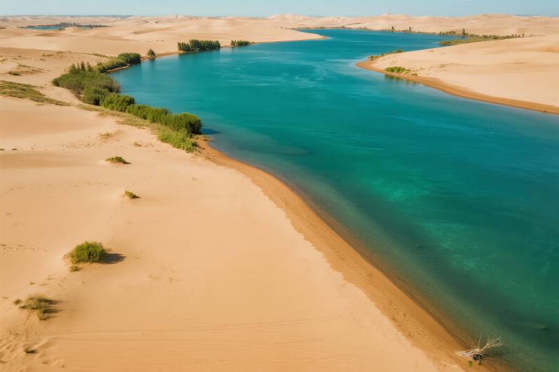 沙漠绿洲奇景图片