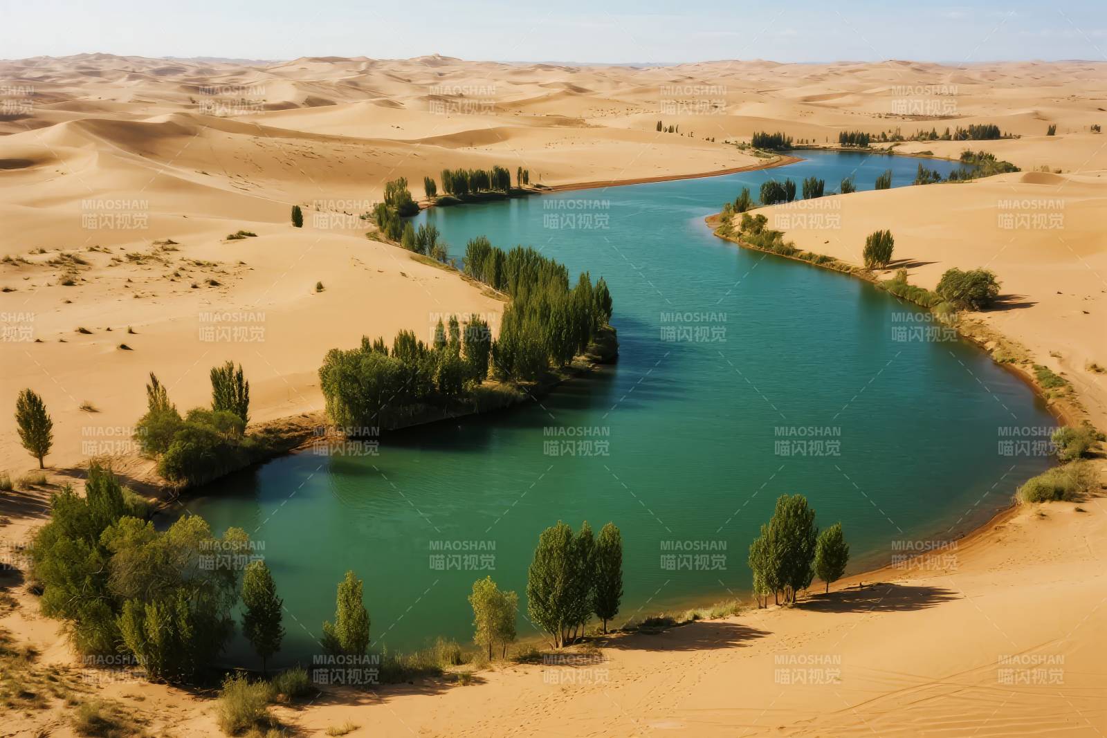 沙漠绿洲奇景图片