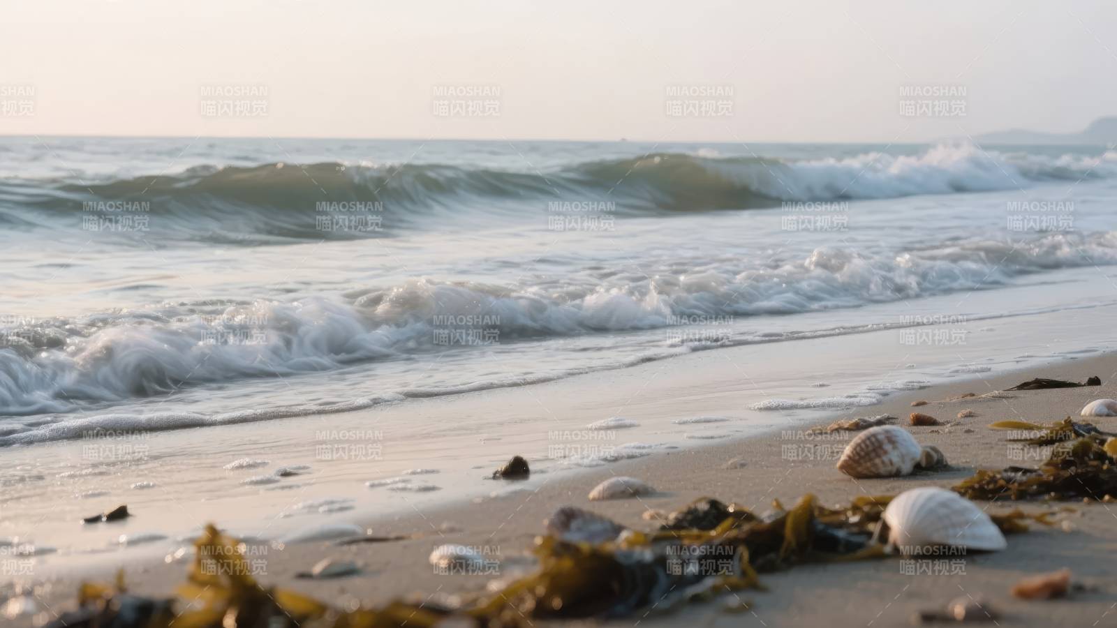 海滩浪花与贝壳图片