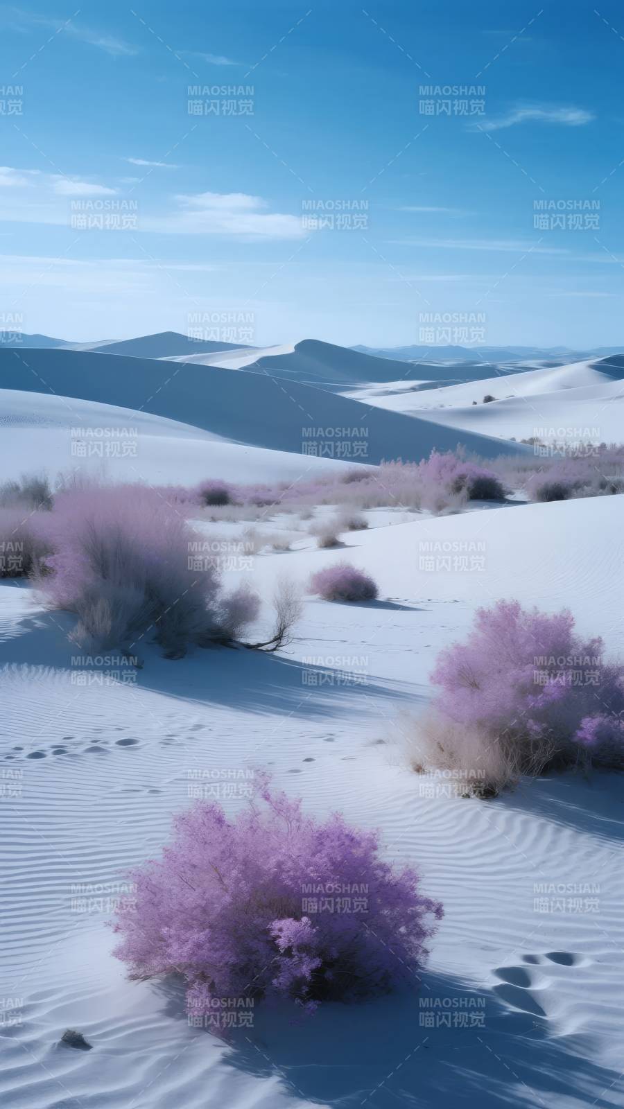 紫花沙海图片