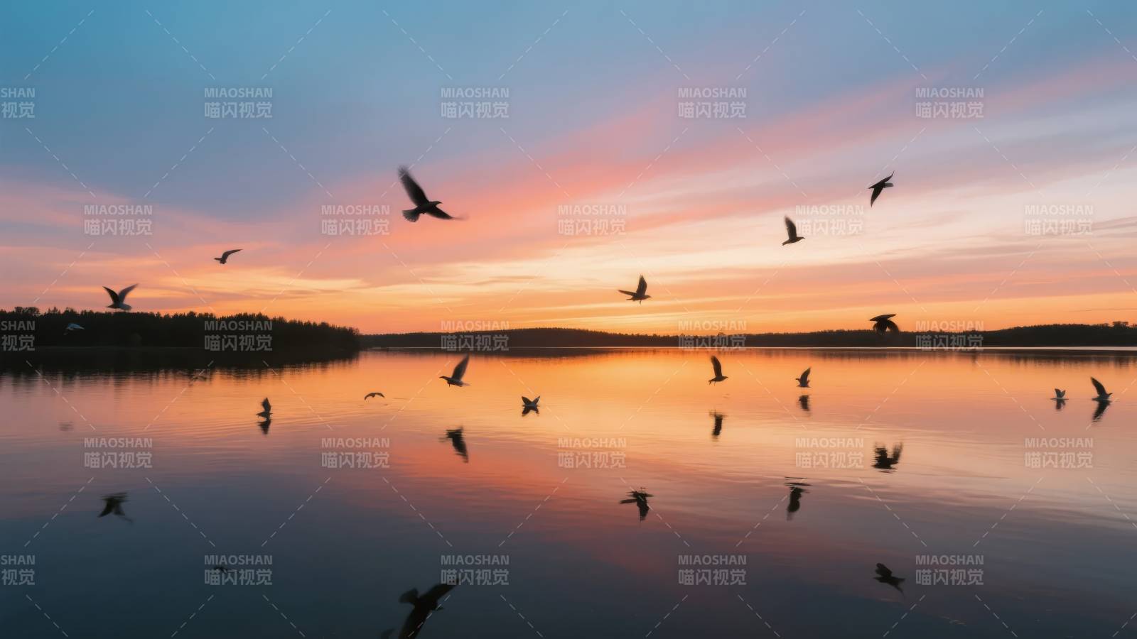 湖上飞鸟剪影图片