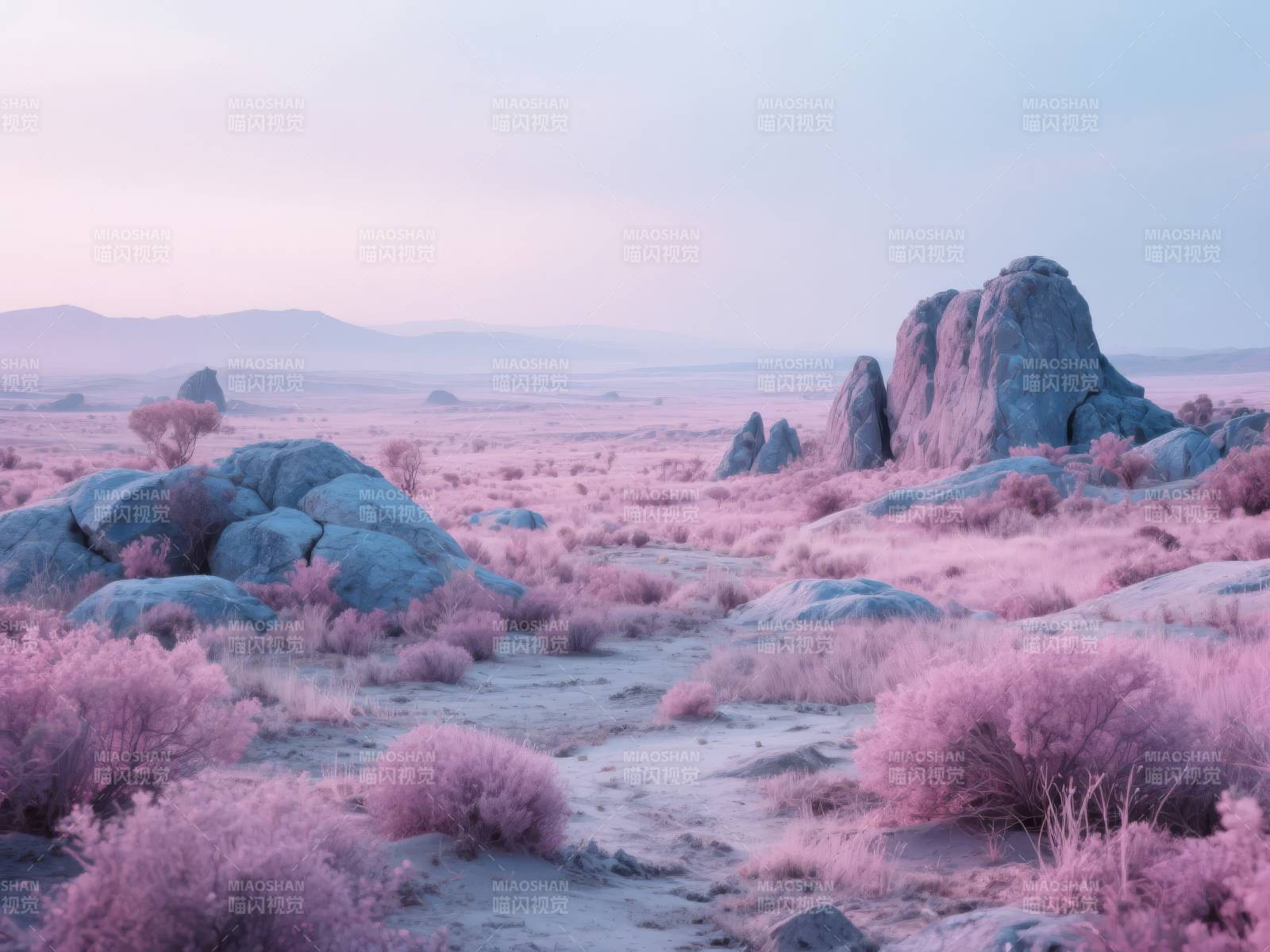 粉红荒漠奇景图片