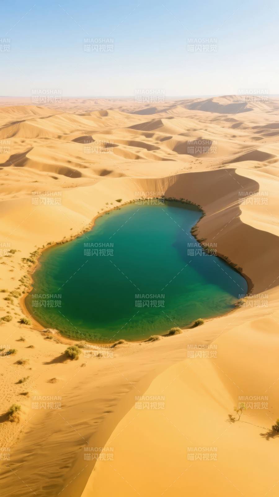 沙漠绿洲奇景图片