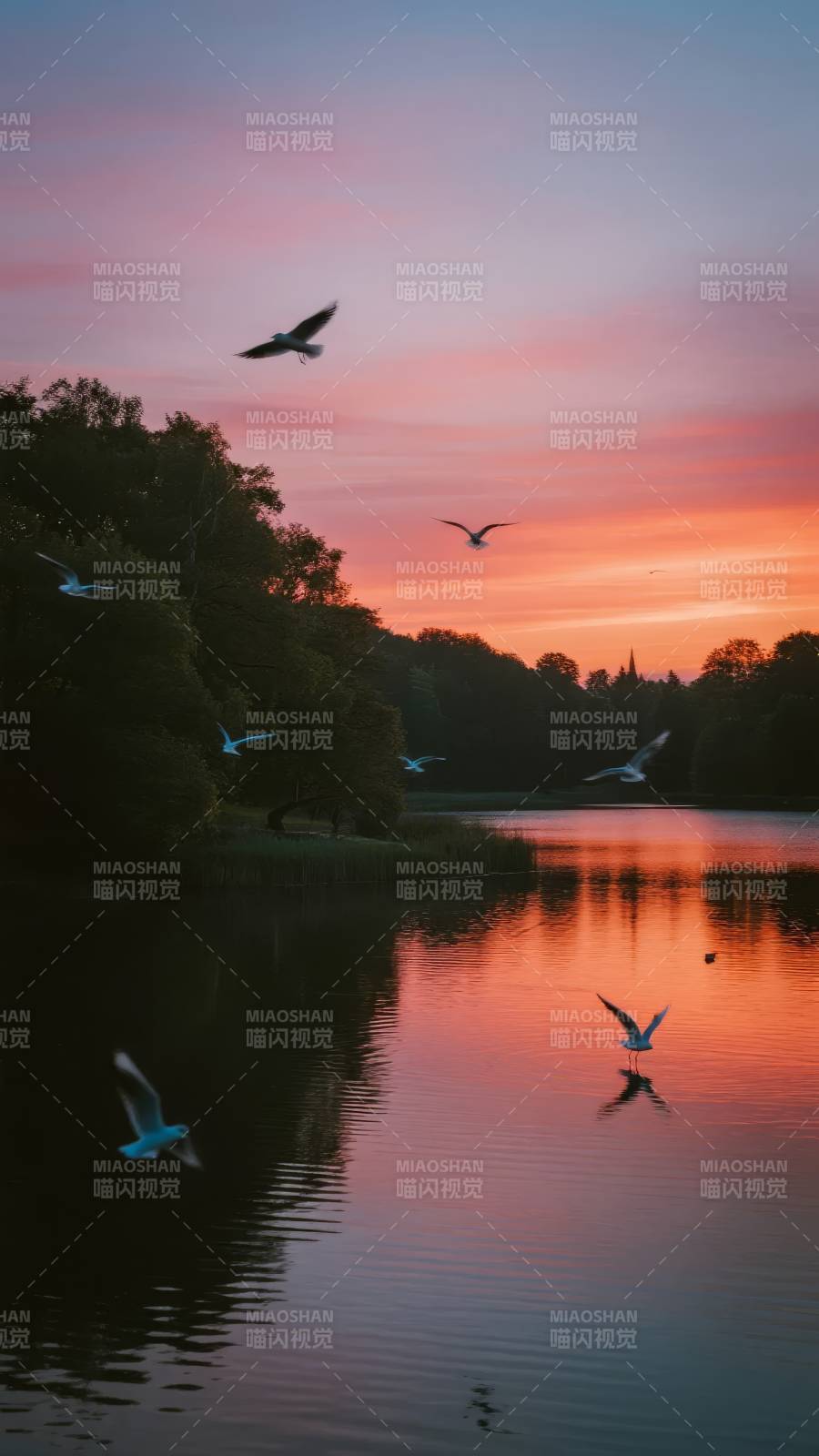 湖畔飞鸟夕阳图片