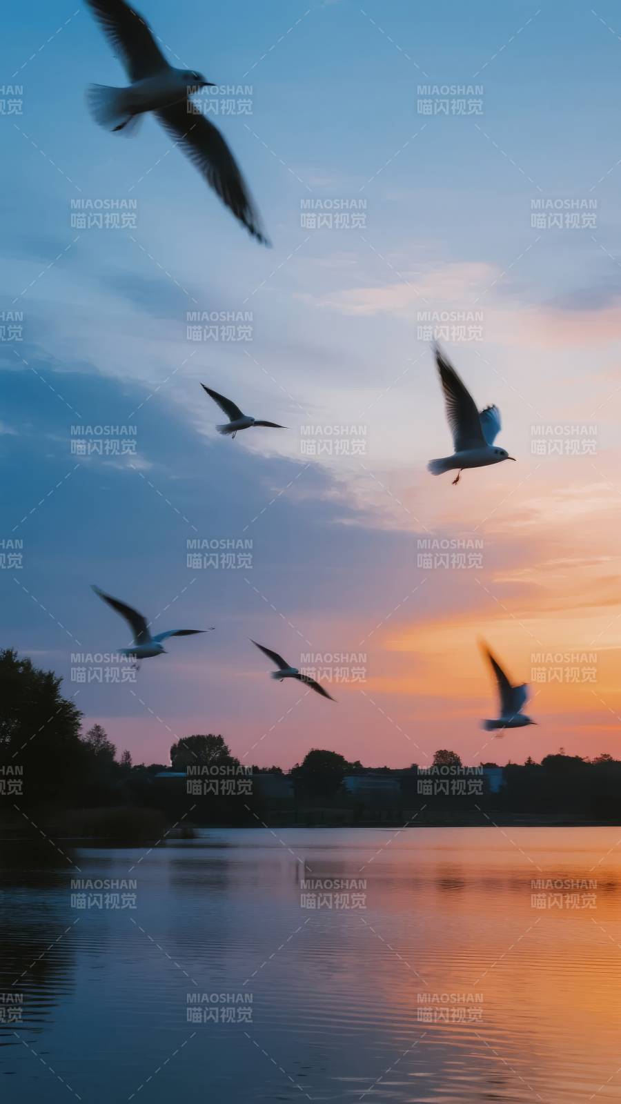 湖畔飞鸟暮色中图片