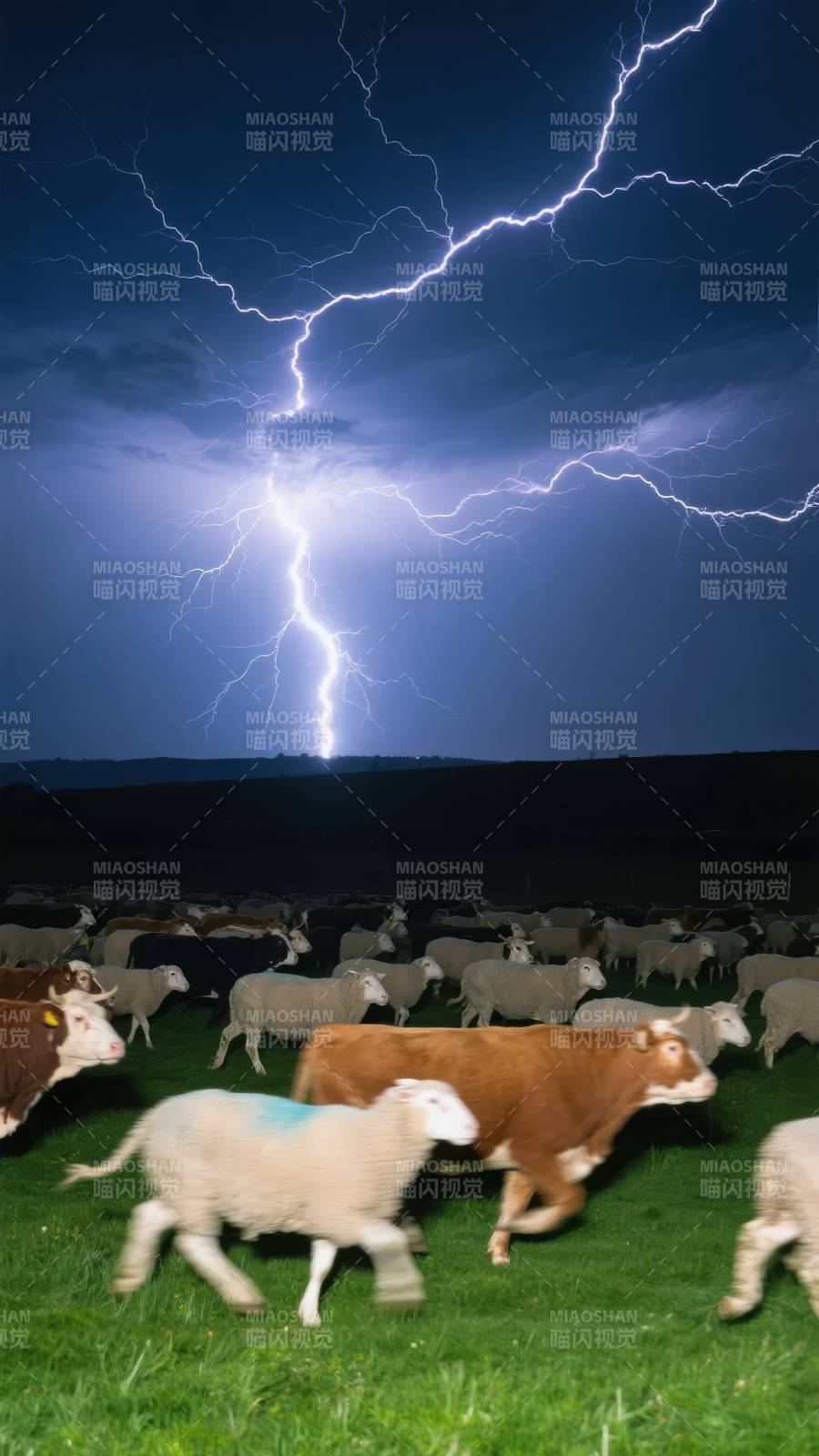 雷电下的羊群奔跑图片