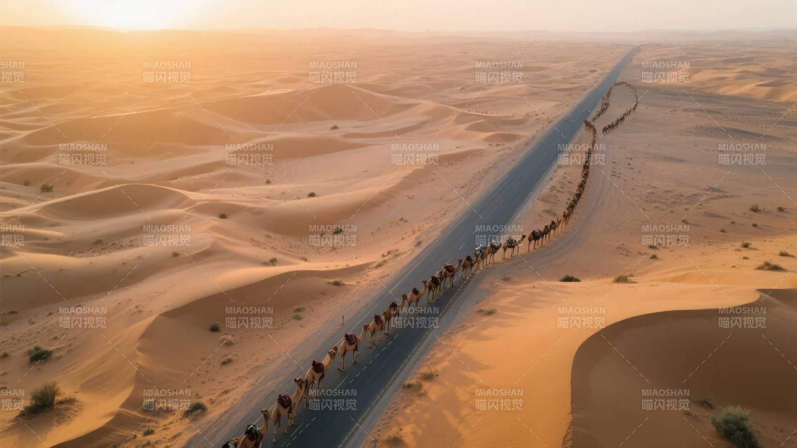 沙漠驼队行迹图片