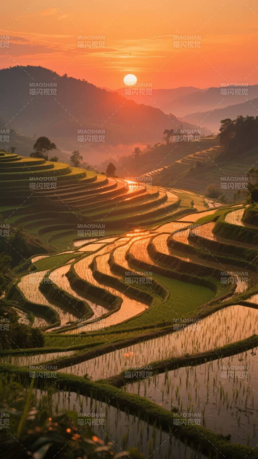 梯田日出美景图片