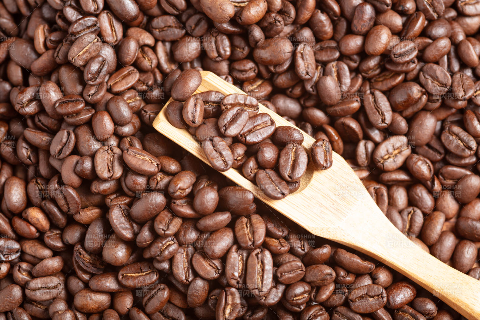 咖啡豆与木勺图片