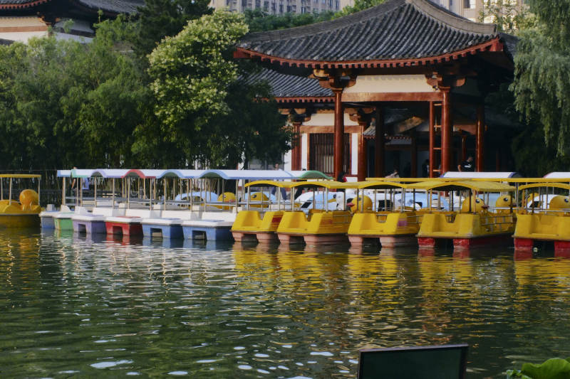 湖畔游船静泊丰庆公园图片