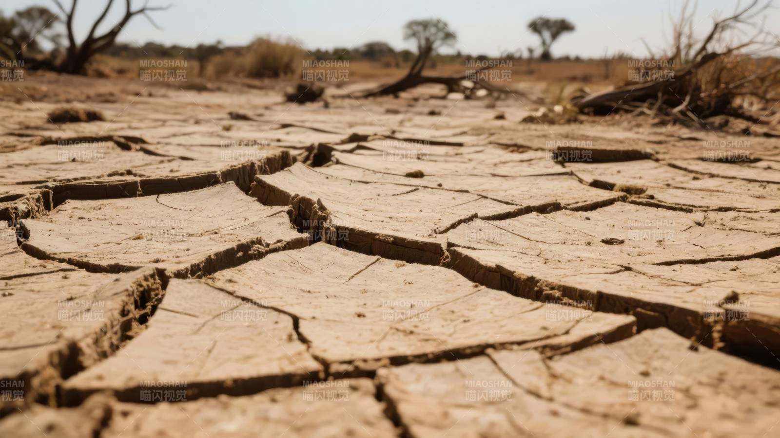 干裂的土地图片