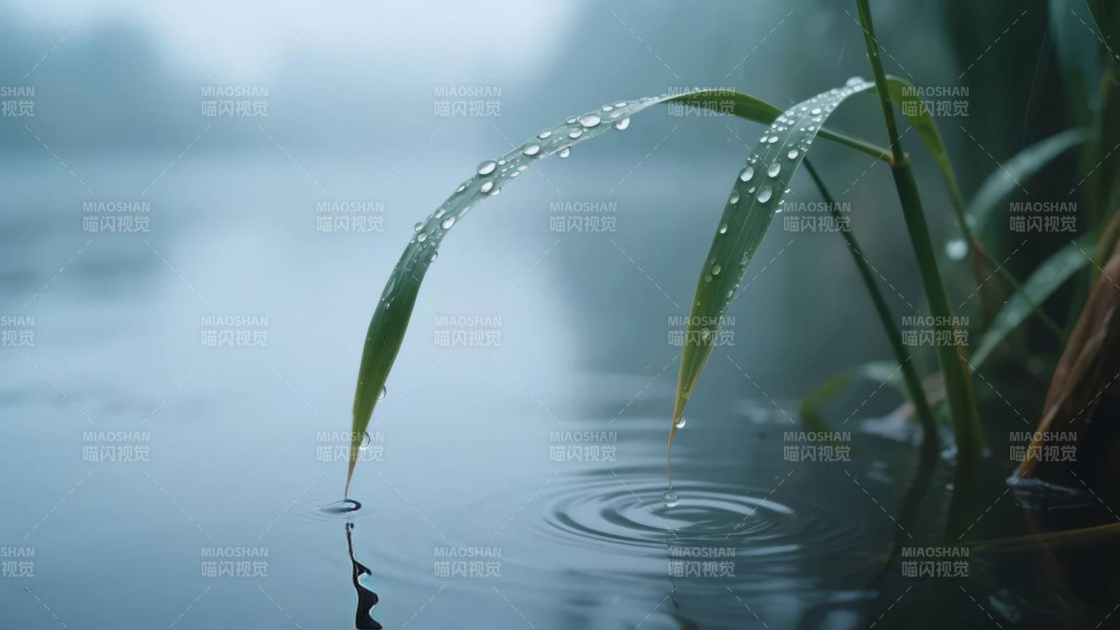 雨滴轻落湖面图片