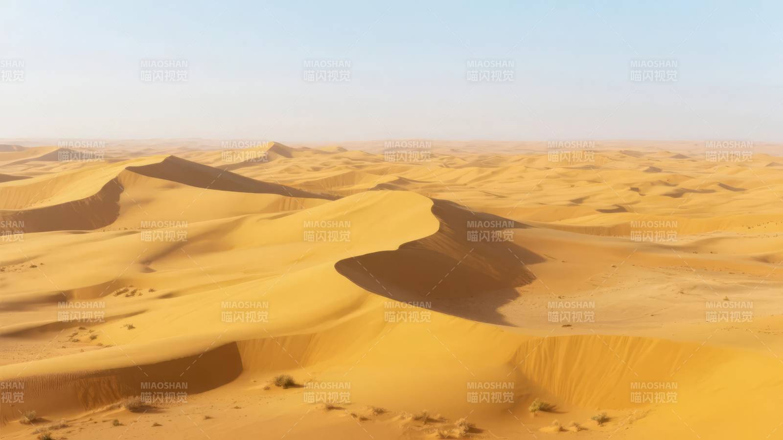 金色沙海无垠图片