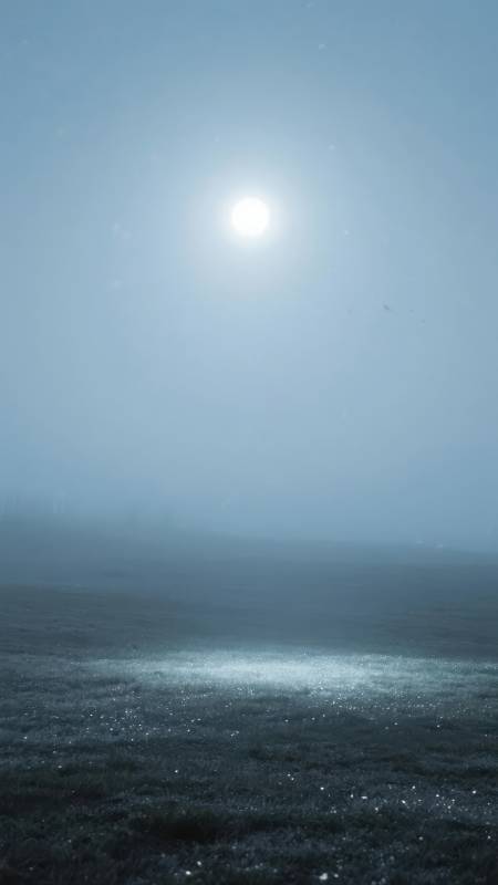 月光下的静谧湖面图片