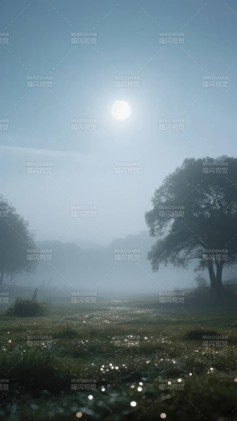 晨雾中的静谧湖畔图片