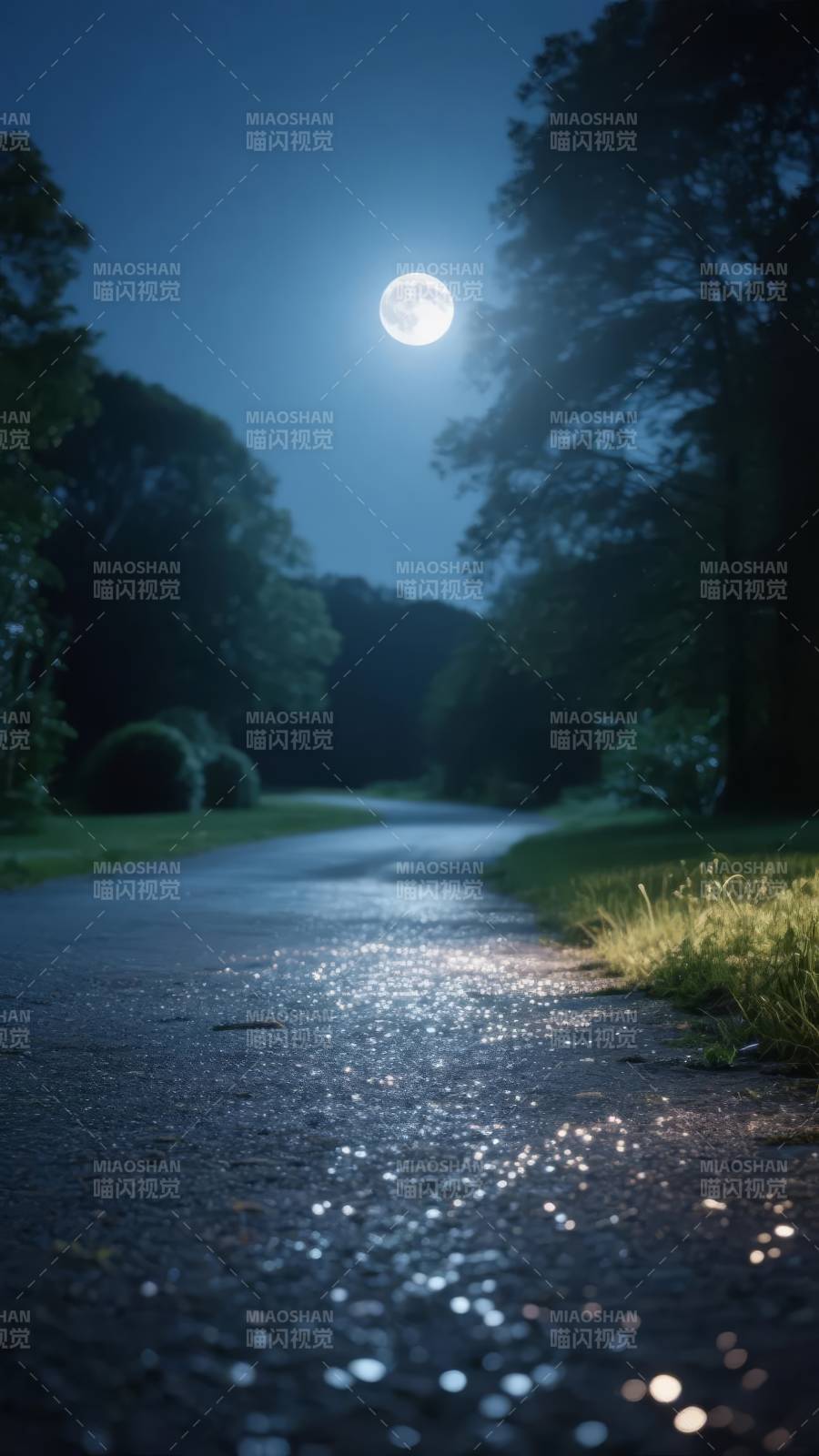 月夜小径图片