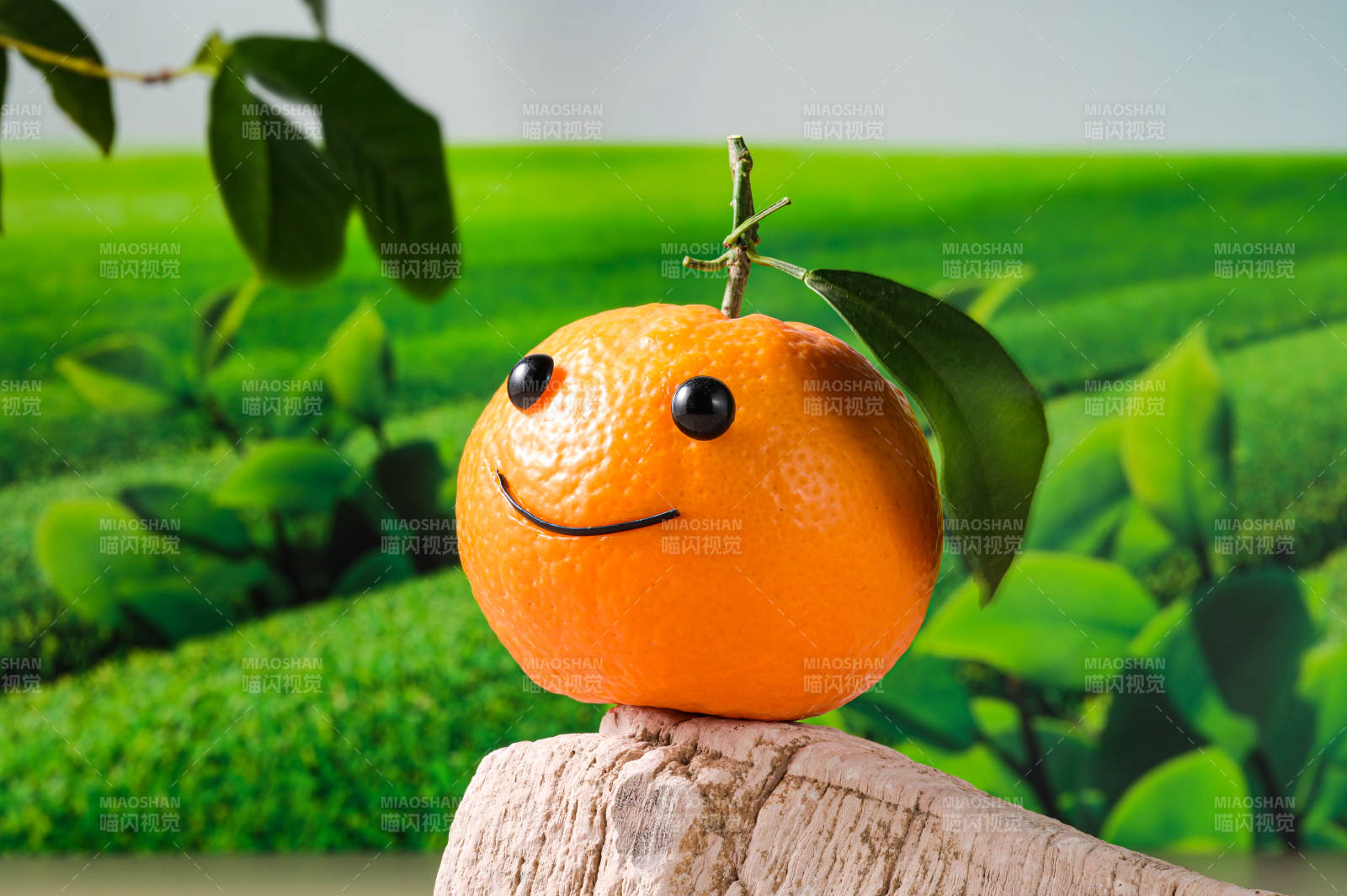 带笑脸表情的沃柑特写图片