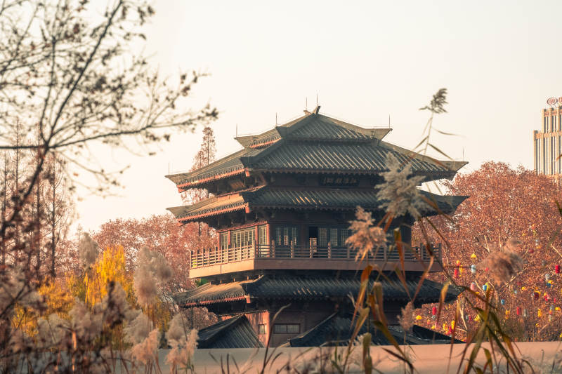 合肥逍遥津古塔秋景图片