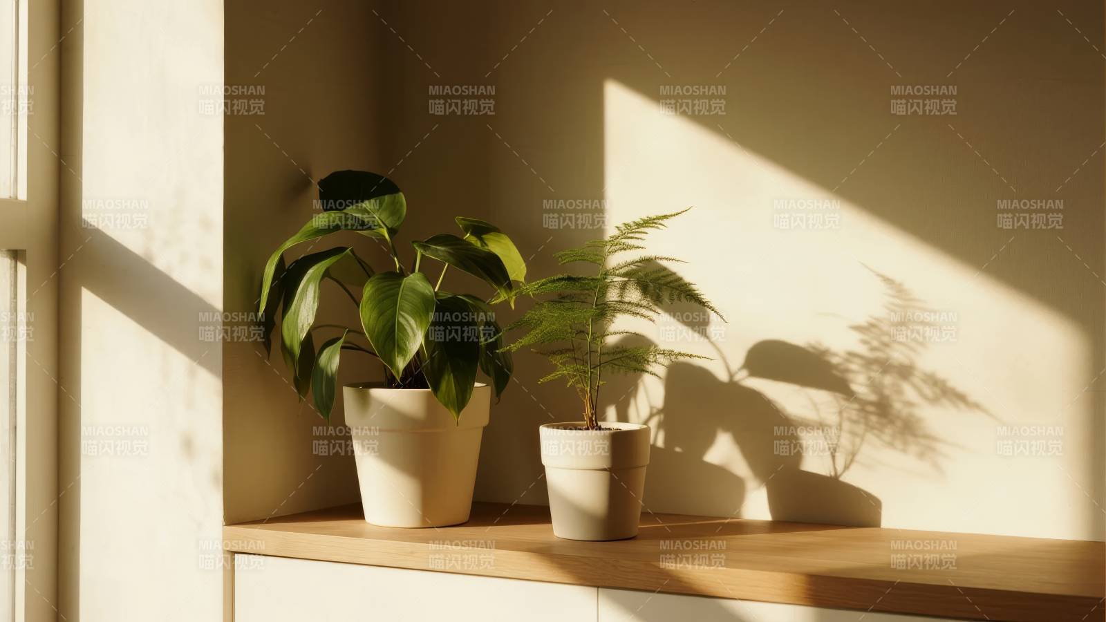 窗台绿植光影图片