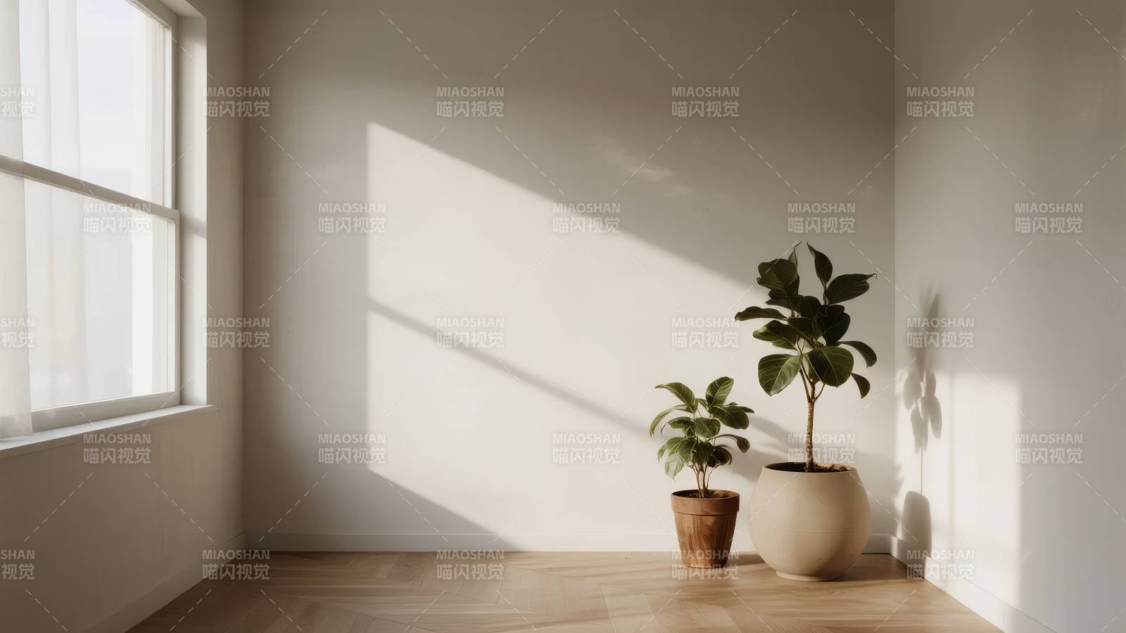 阳光下的绿植角落图片