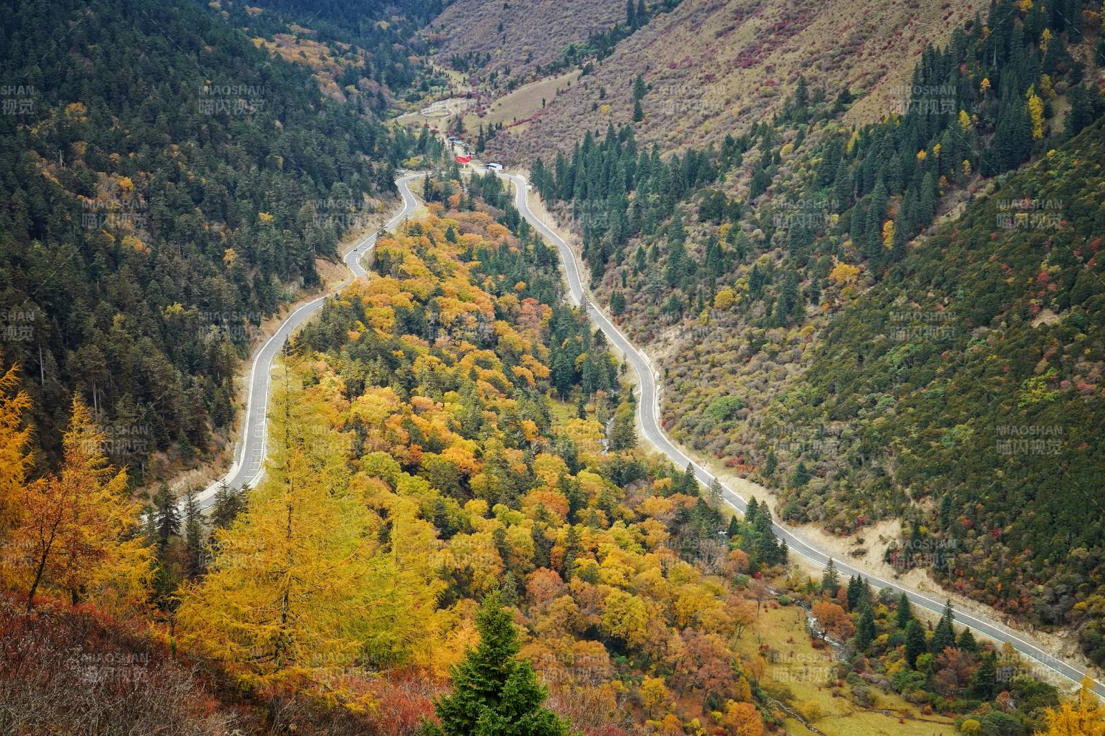 夹金山秋谷公路美景图片