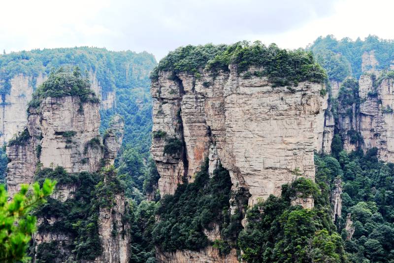 湖南张家界奇峰林立 绿意盎然图片