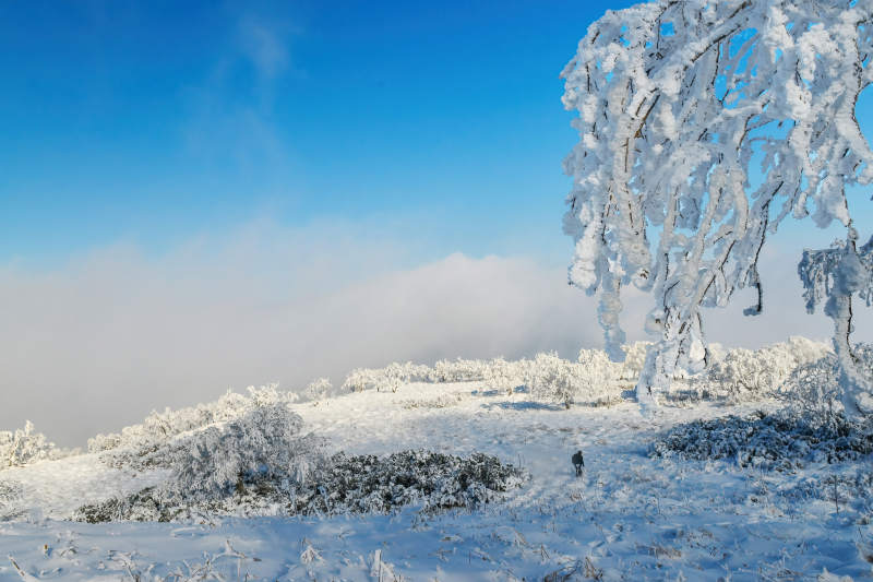 龙江第一峰图片