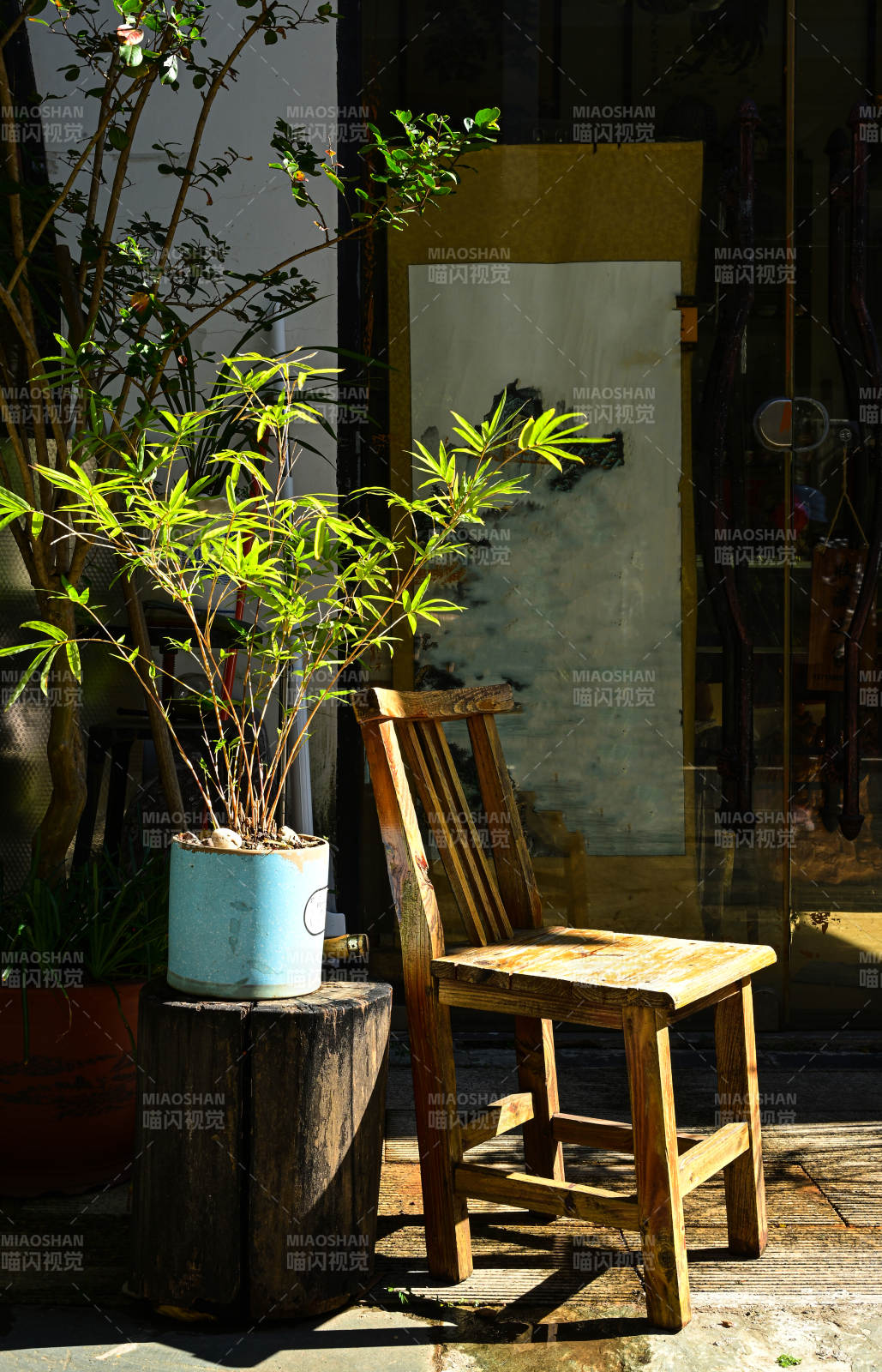阳光下的庭院角落木椅与绿植图片