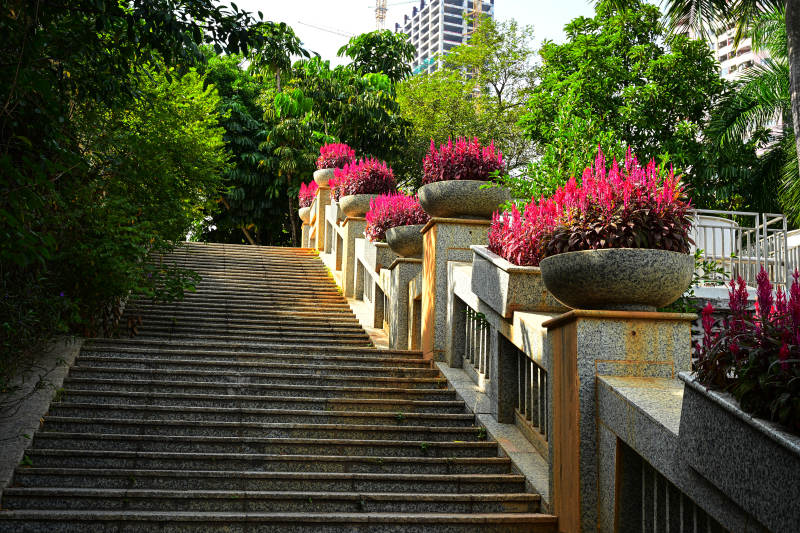 阳光下绿植花卉装饰的台阶景观图片