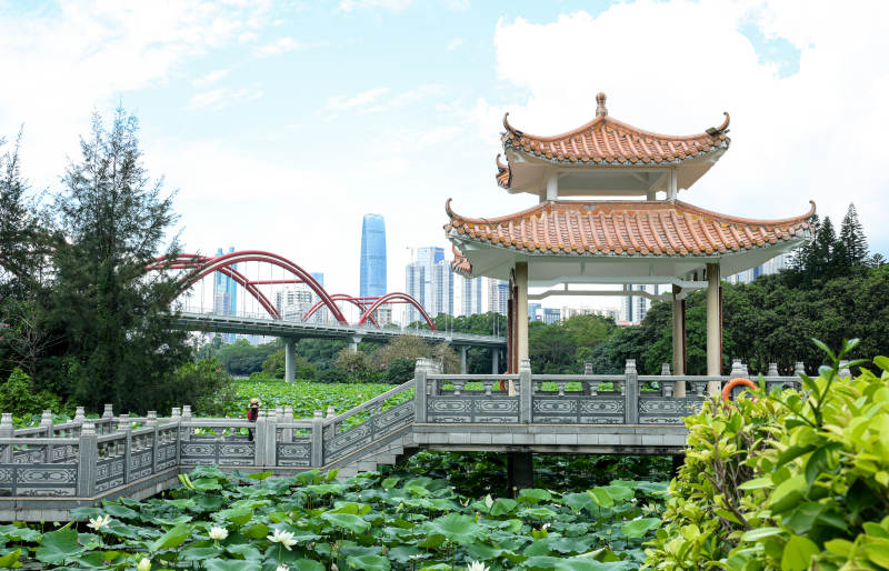 荷塘映衬下的彩虹桥与亭台图片