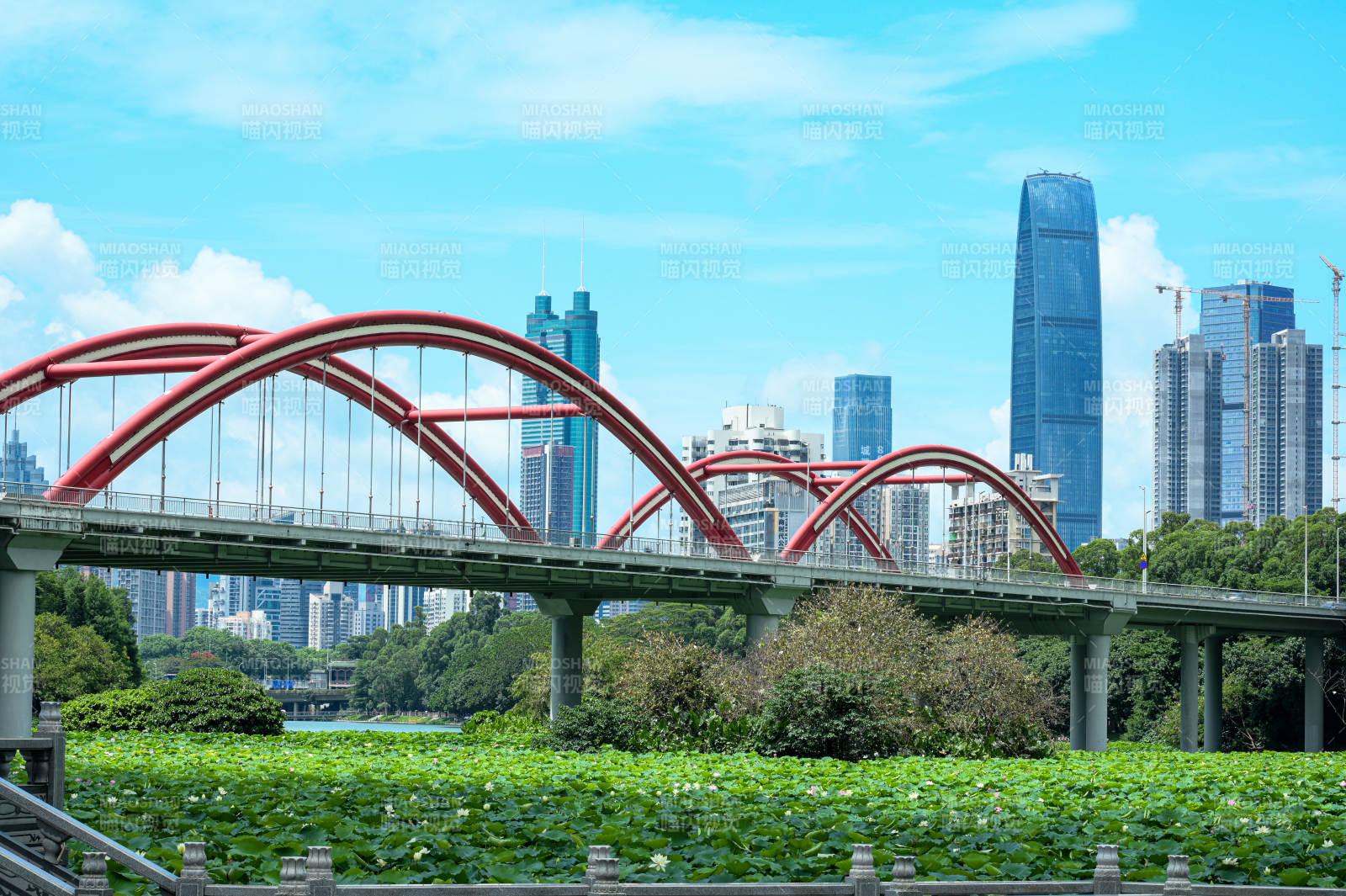 深圳城市天际线下的彩虹桥图片