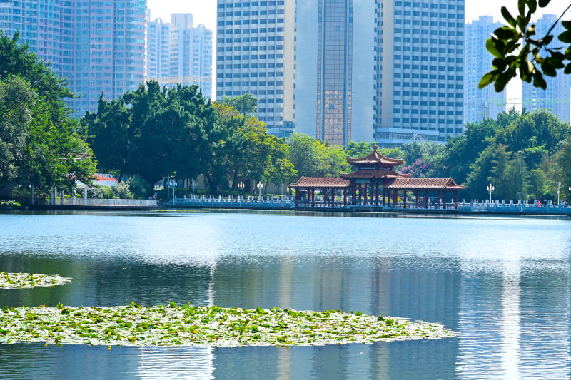 深圳洪湖公园湖畔亭台映高楼图片