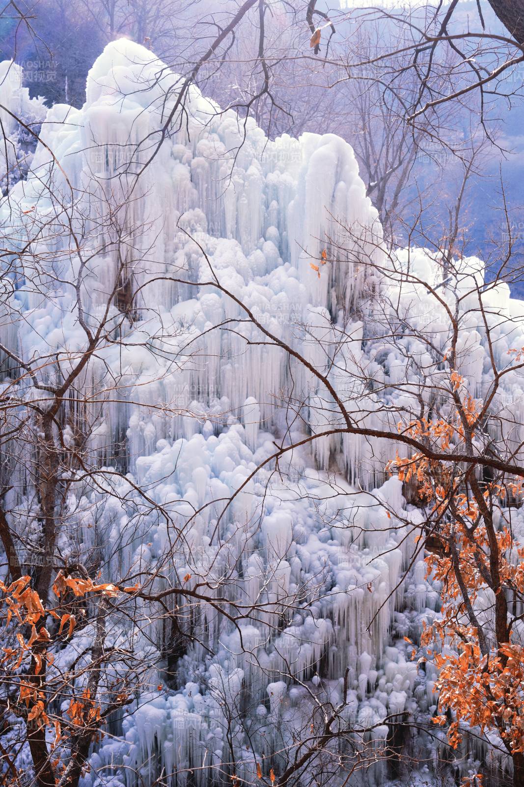 京东大峡谷冰瀑图片