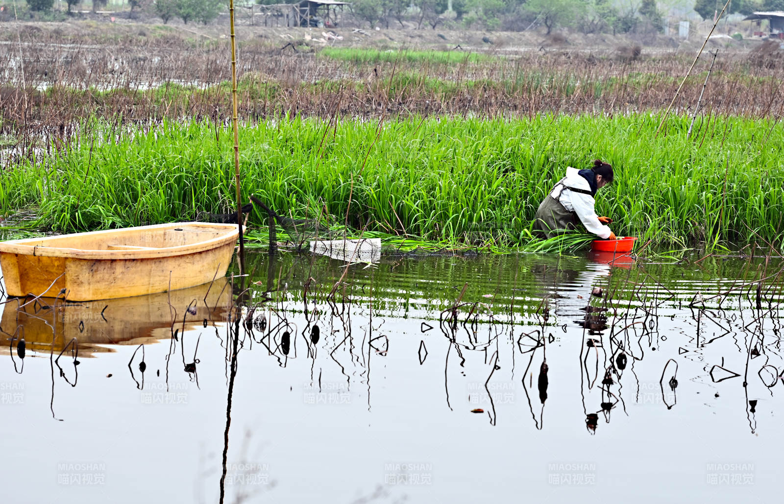 湖北南漳县水乡田园的劳作景象图片