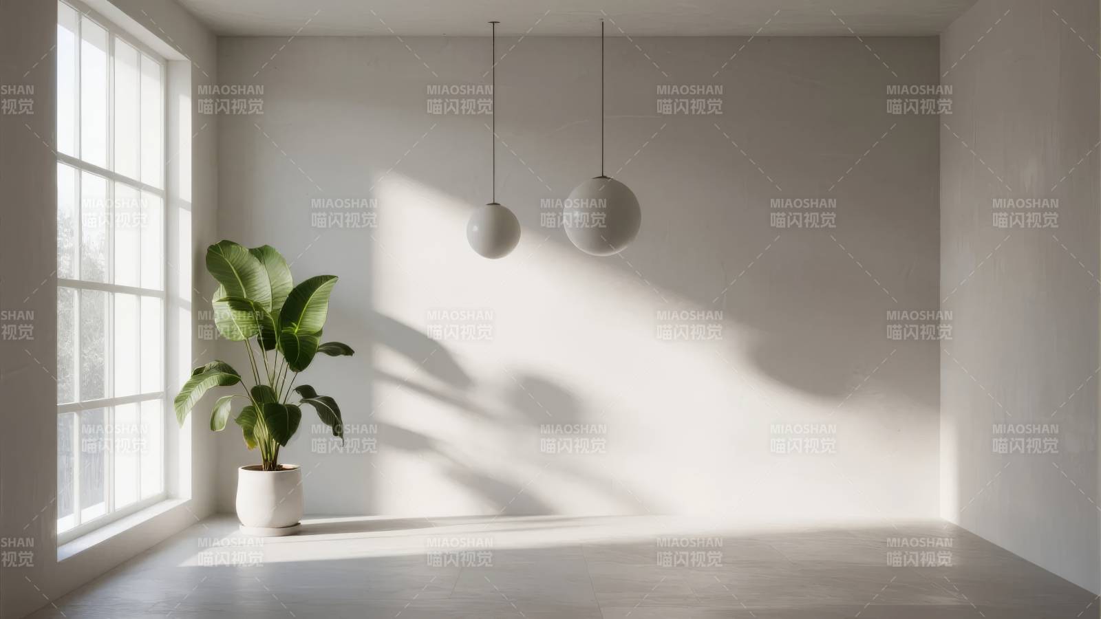 光影中的绿植角落图片