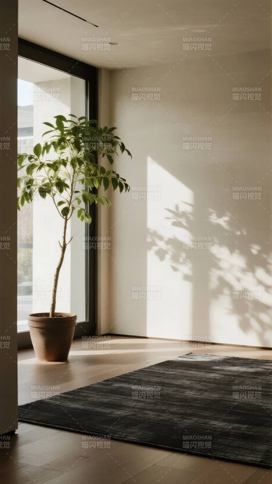 光影绿植静谧角落图片