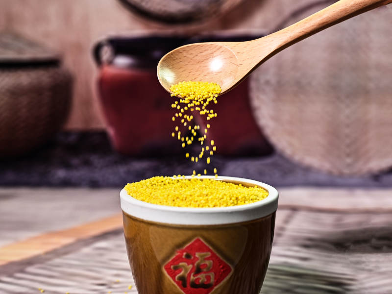五谷杂粮金灿灿颗粒饱满的有机小米特写图片