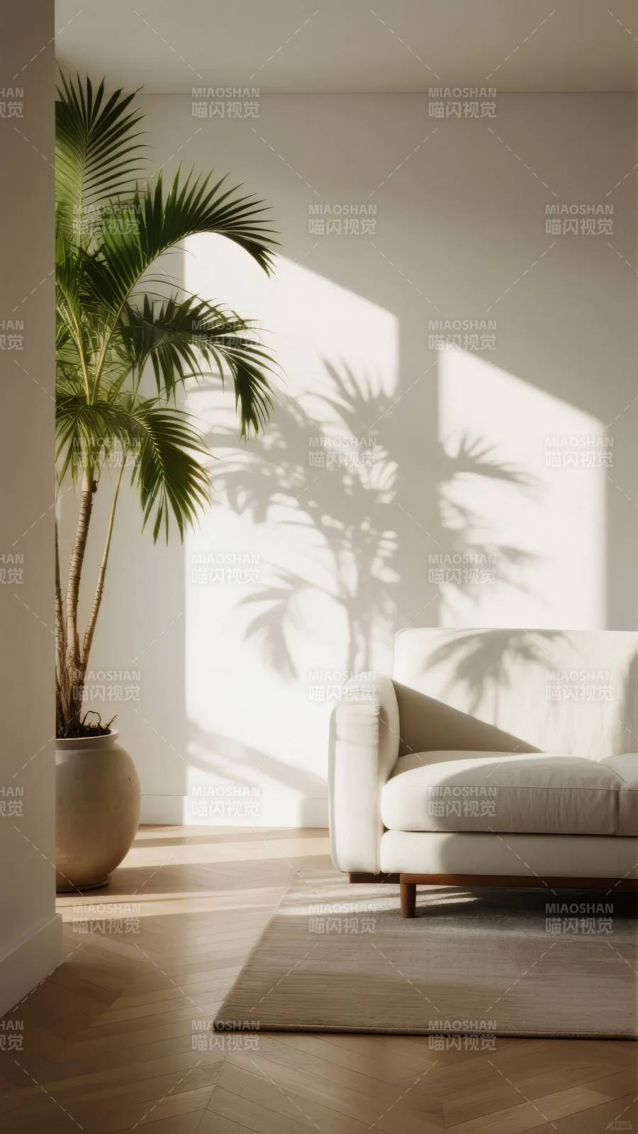 光影中的静谧角落图片