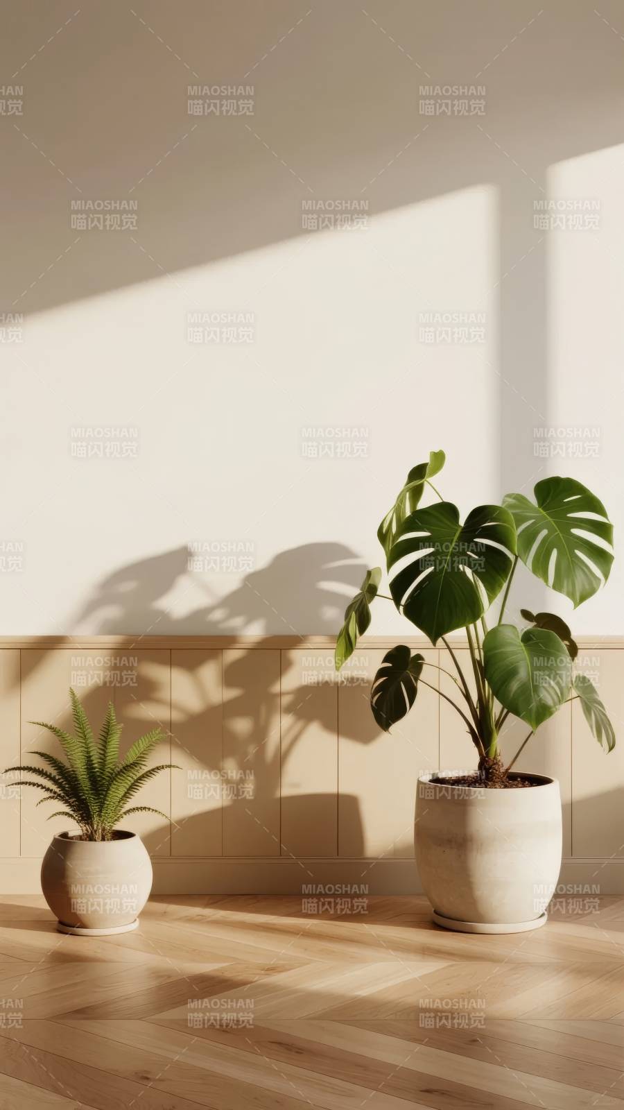 光影中的绿植静谧图片